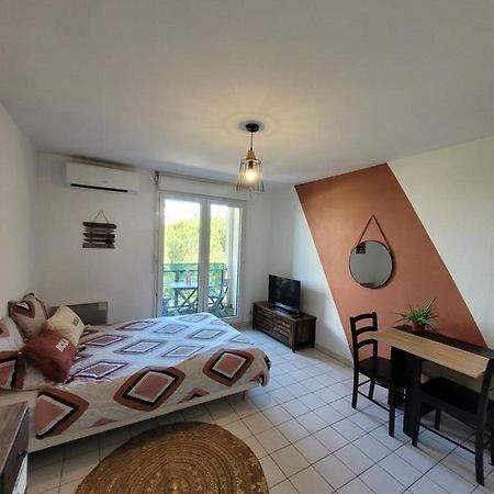 Charmant Studio Vue Sur Les Berges Du Lez Apartment Montpellier Ngoại thất bức ảnh