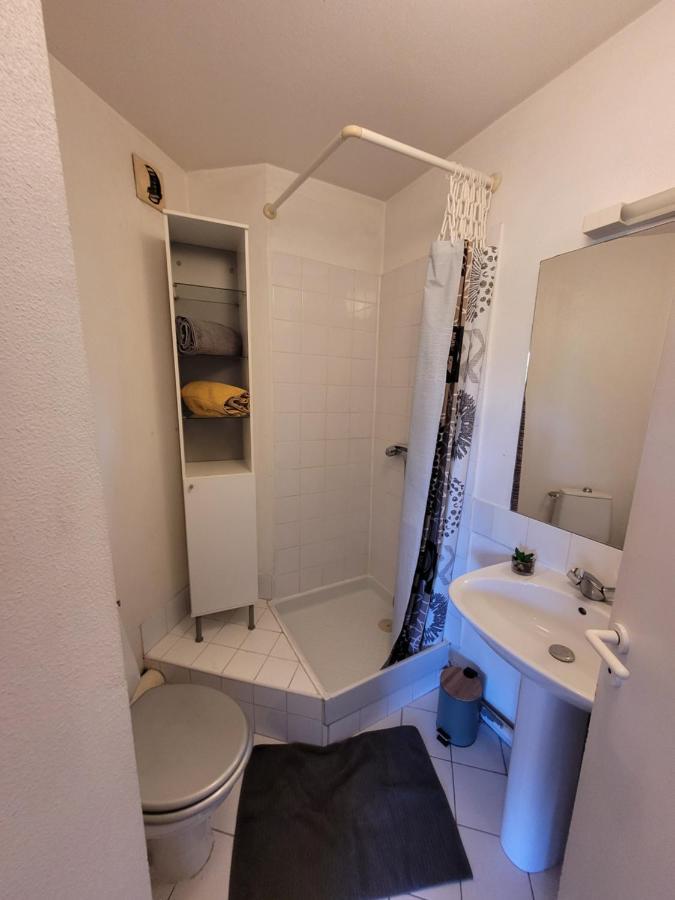 Charmant Studio Vue Sur Les Berges Du Lez Apartment Montpellier Ngoại thất bức ảnh